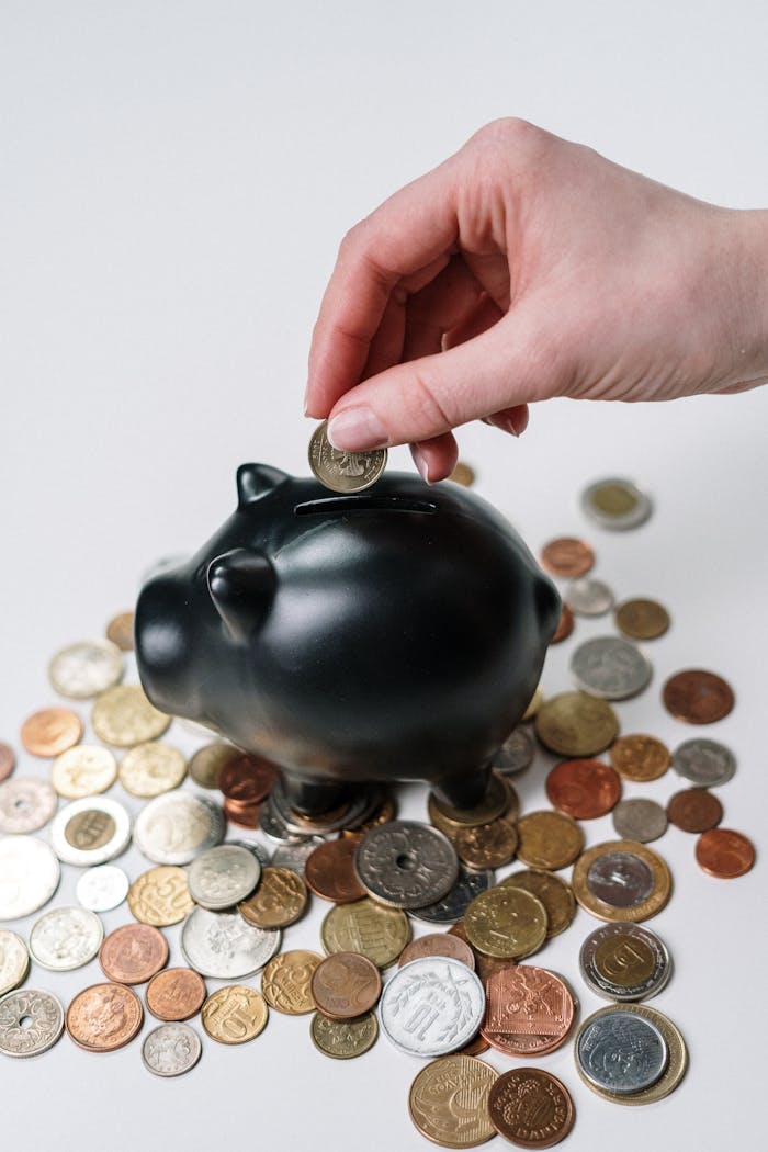Les 5 Meilleures Stratégies d'Investissement pour les Débutants