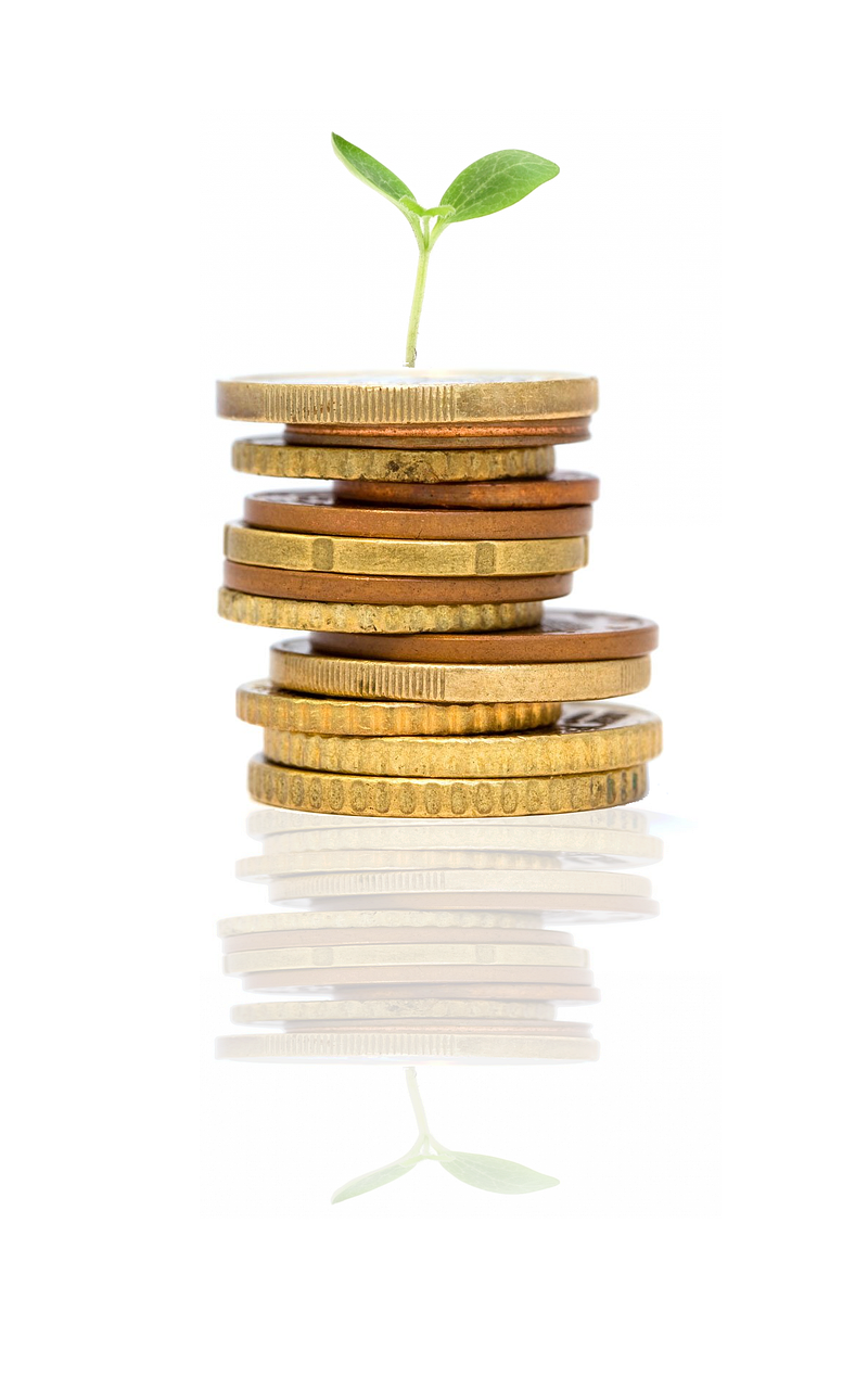services-01 startup, growing, plant, idea, investment, nature, money, sprout, reflection